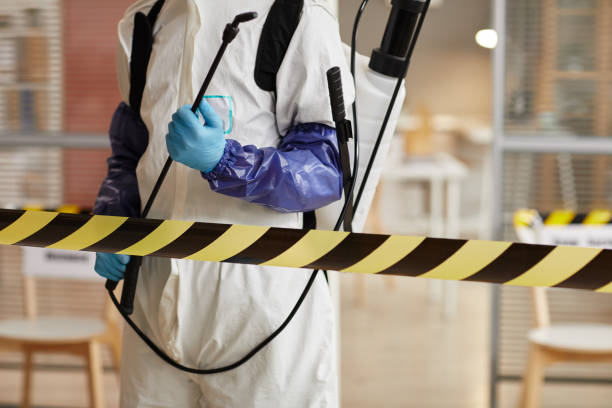 Professional Odor Removal technician working in Hingham, WI